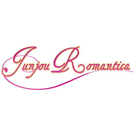 Mystery Box Junjou Romantica - RÓŻNE WARIATNY CENOWE