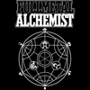 Koszulka Biała Fullmetal Alchemist - WYBIERZ KOLOR KOSZULKI I FASON